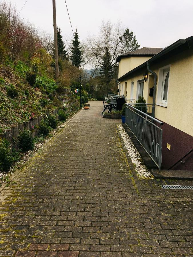 Ferienwohnung Am Nuerburgring/Wintersport Arft Acht ภายนอก รูปภาพ