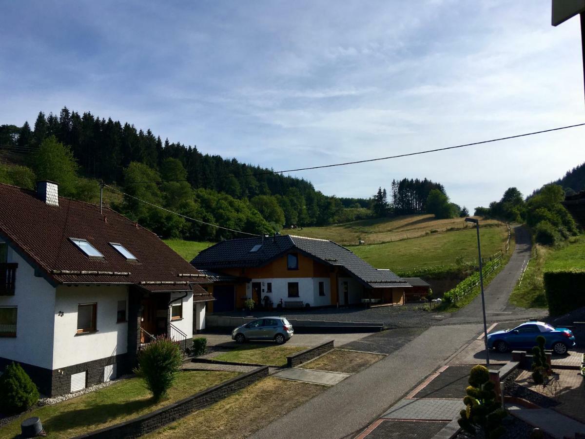 Ferienwohnung Am Nuerburgring/Wintersport Arft Acht ภายนอก รูปภาพ