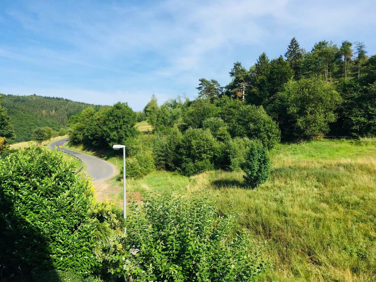 Ferienwohnung Am Nuerburgring/Wintersport Arft Acht ภายนอก รูปภาพ